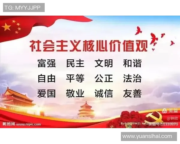 广州排球队的精神风貌与团队意识深度剖析