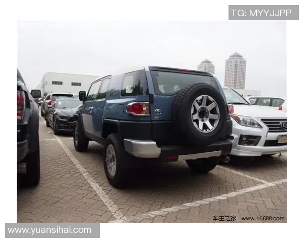 上海排球队在洲际杯积分榜上以61分稳居第一名展现强劲实力