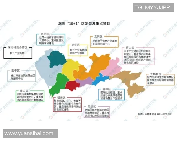 深圳排球队实力解析：从训练到比赛的全面剖析与展望
